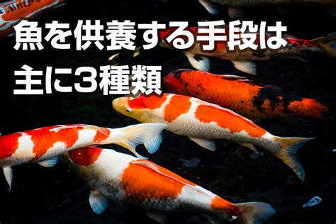 金魚埋葬|正しい金魚の埋葬方法とは？水槽のペットはプランタ…